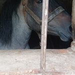 phoca_thumb_m_vp 17.6.2025  90 Fotogalerie